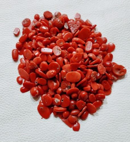 Red coral cabochon mix - cabochon, shape